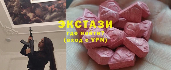 ECSTASY Богородицк