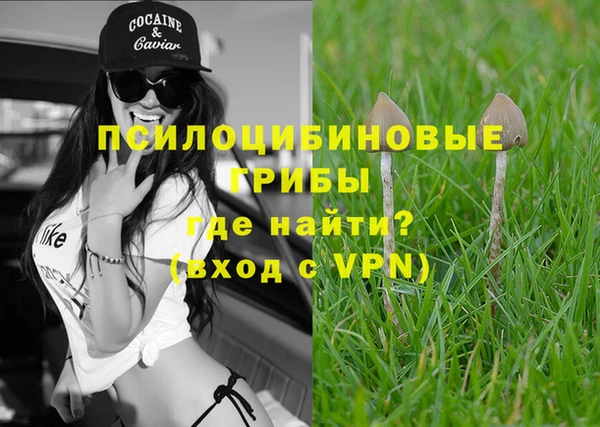 альфа пвп Няндома