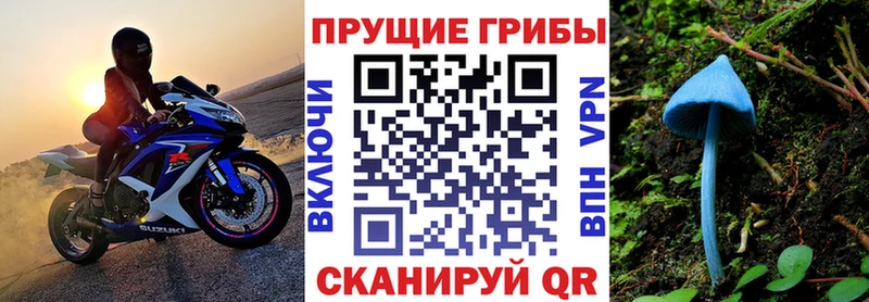 купить   Чехов  Псилоцибиновые грибы GOLDEN TEACHER 